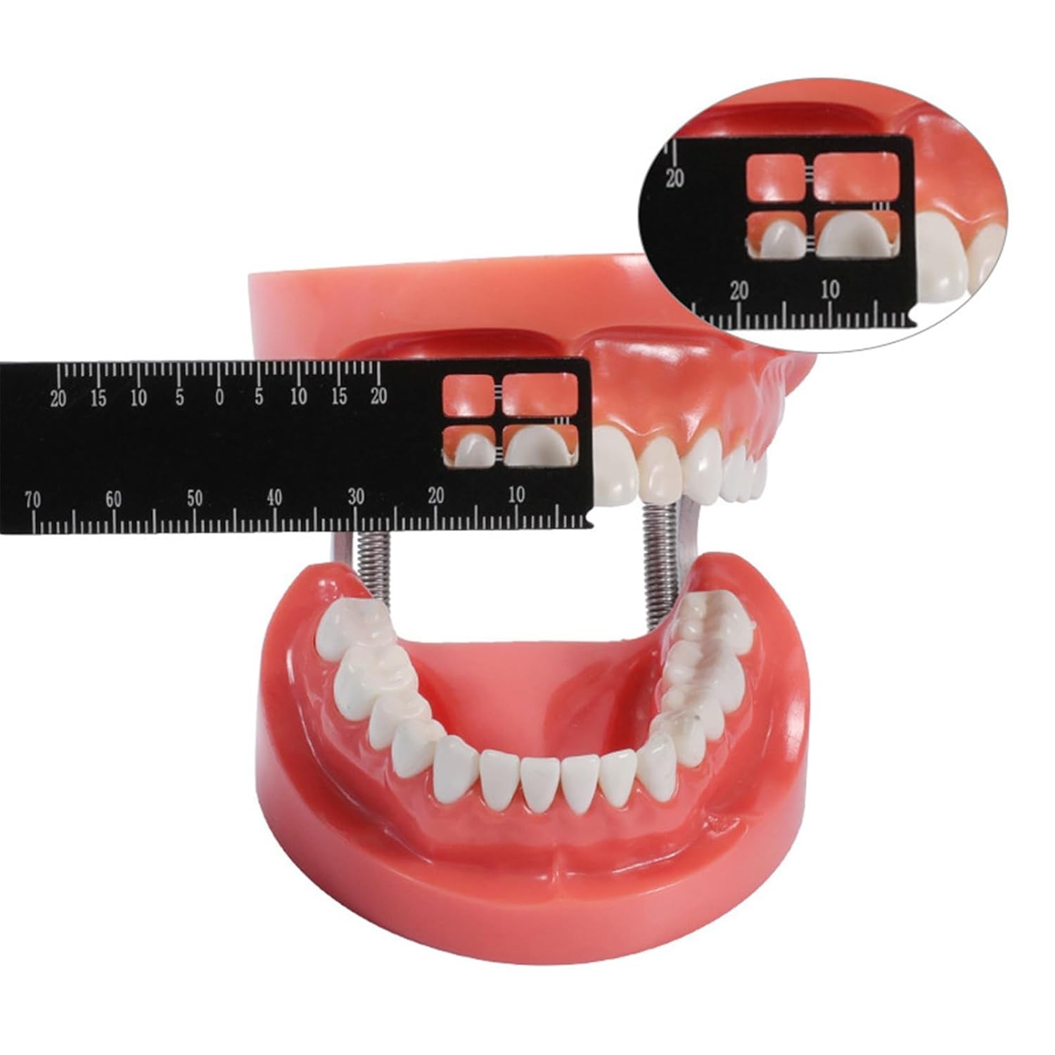 Professional Dental Precision Measuring Ruler, Black Stainless Steel…