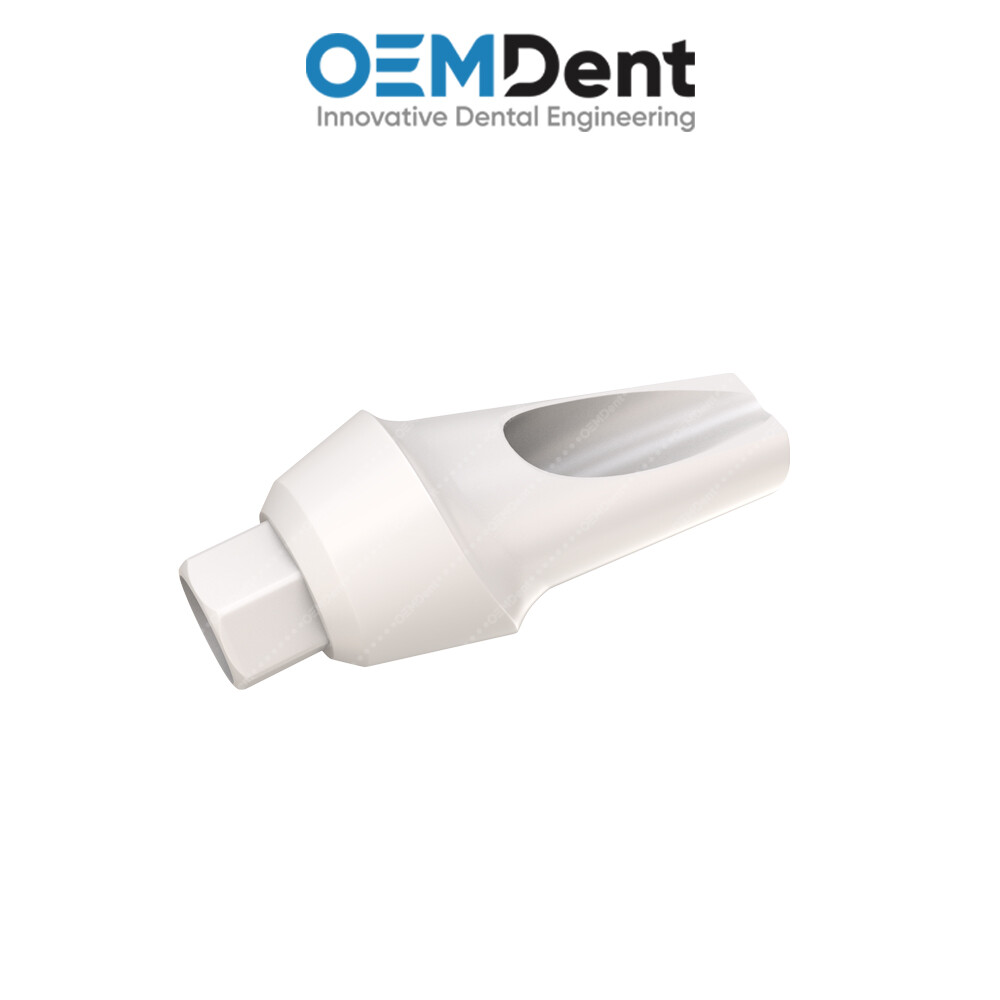 Peek Temporary Anatomic Angled Prosthetic 25° – Alfa Gate® Int Hex Compatible