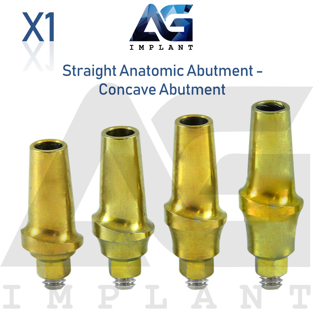 Anatomic Straight Concave Prosthetic System Titanium Int Hex 2.42 Connection