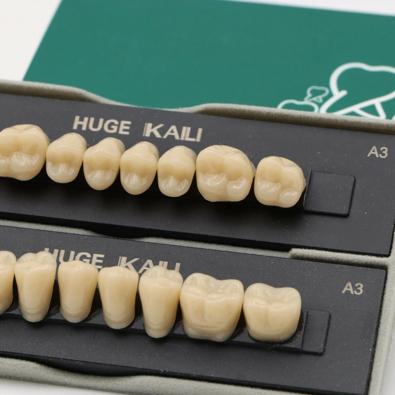 HUGE Dental Synthetic Polymer Teeth Resin False Teeth Denture Replacement 28/P