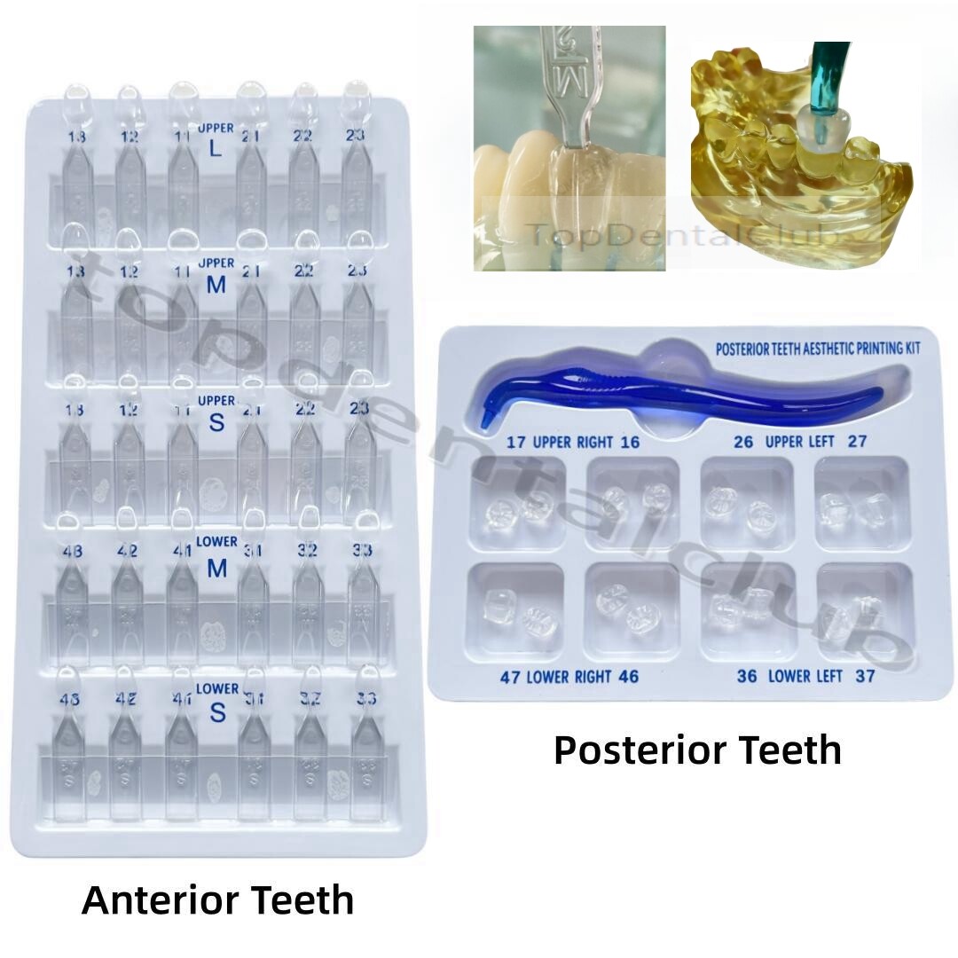 Dental Aesthetic Printing Restoration Filling Tool Anterior Posterior Teeth