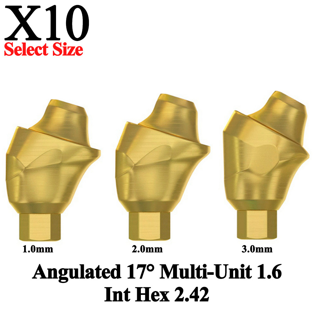 10pcs Prosthetic Angulated 17° Multi-Unit 1.6 Int Hex 2.42 Connection Dental Lab