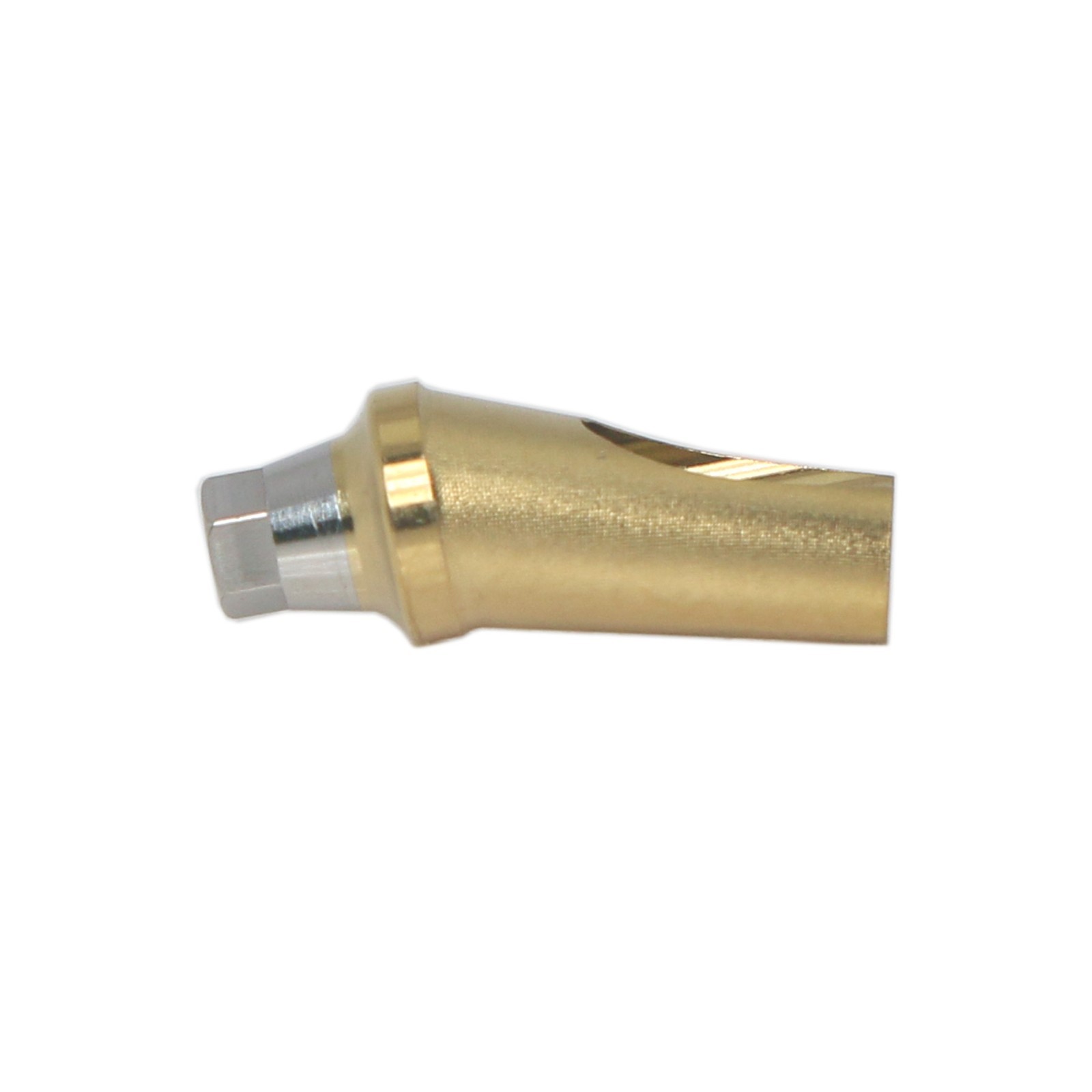 Dental 17° Angled Anatomic Abutment Regular Fits Hiossen Osstem Ø5.0mm Platform