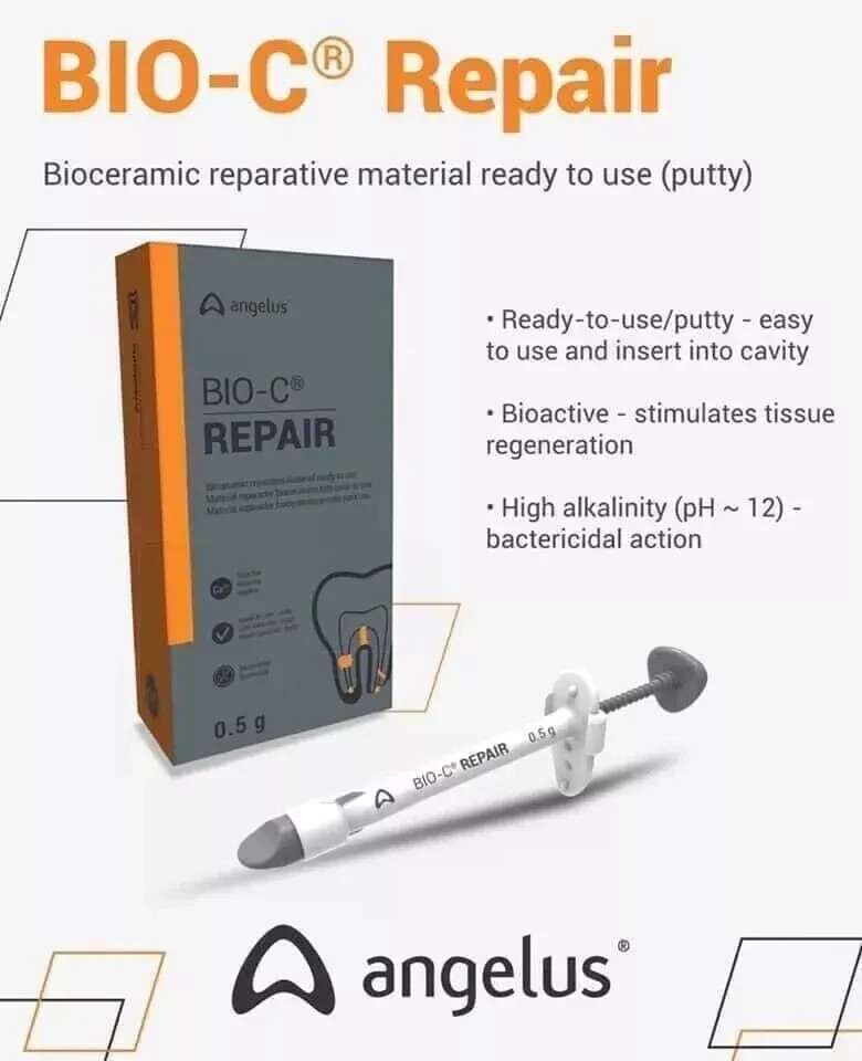 Angelus Bio C Repair Bioceramic Repair Cement For Endodontic Treatment Dental 2g