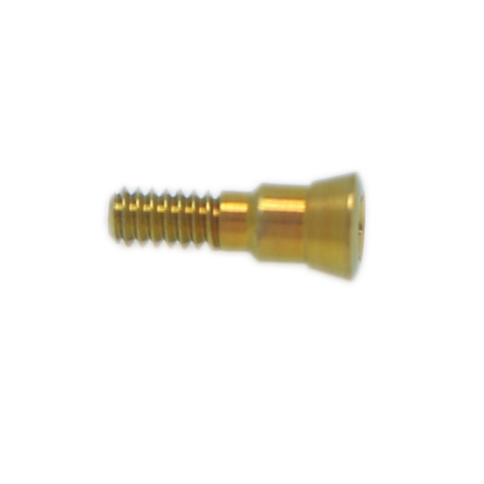 US Dental Healing Closure Cover Screws NC RC H 0/0.5mm Fits Straumann ITI Bone