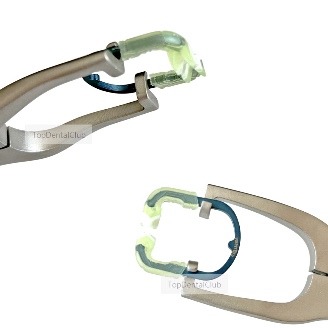 Dental Matrix Bands Ring Sectional Matrice Clamp Fit System