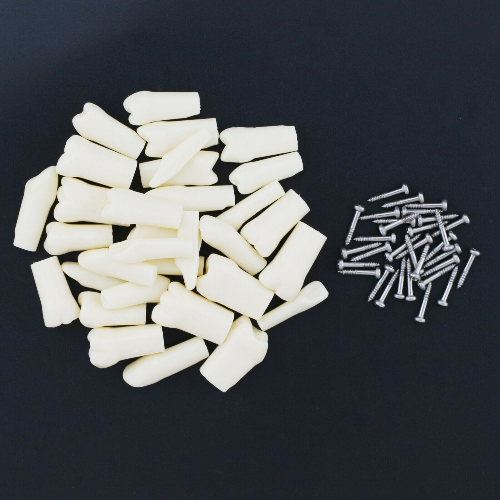 2 Set Dental Removable Screw-in Typodont Grain Teeth 28Pcs+32Pcs Tool Instrument