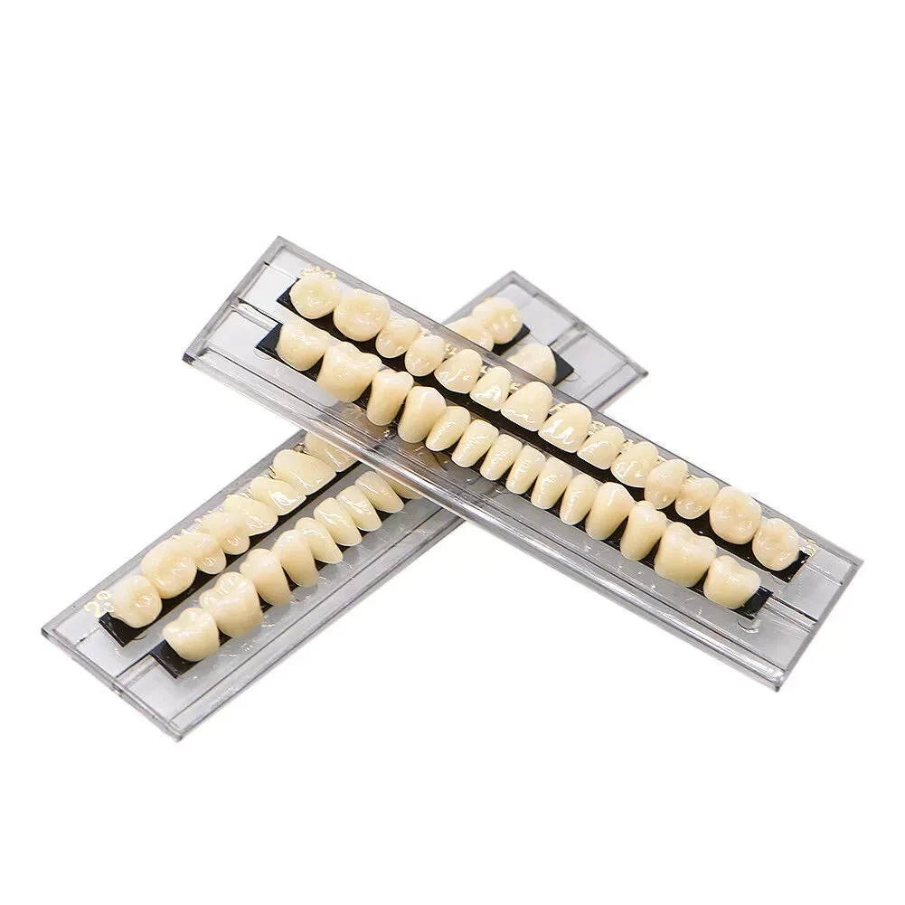 28 Pcs/Set Dental A2 A3 Acrylic Resin Denture Shade Full Set False Teeth #23