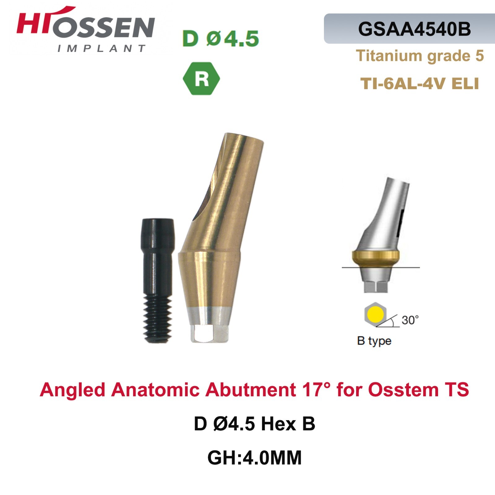 1X Fit Mini/Regular Angled Anatomic Abutment 17° Ti Dental Osstem/TS Hiossen/ET