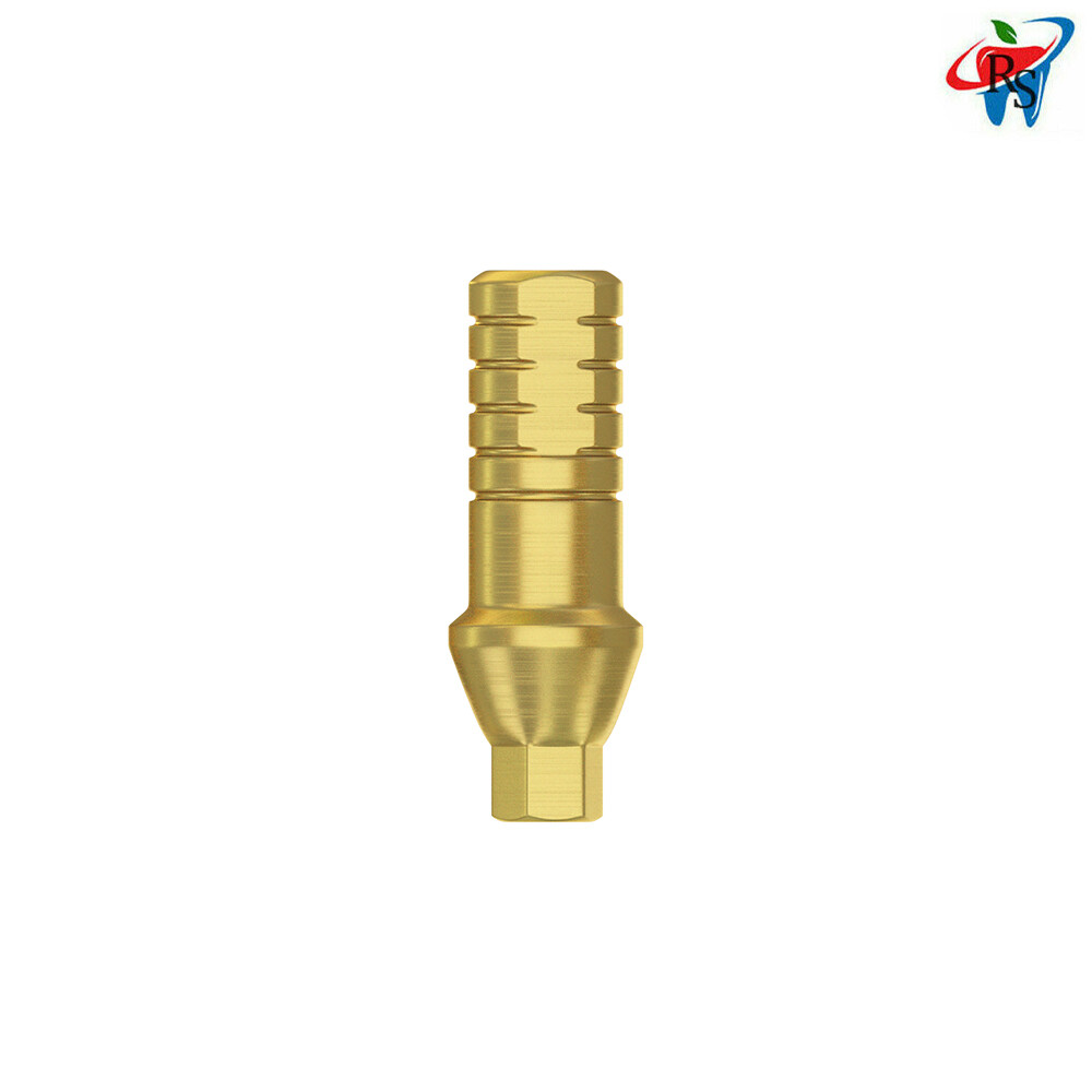 Dental Straight Shoulder Abutment Conical Connection RP Regular Platform 1pcs