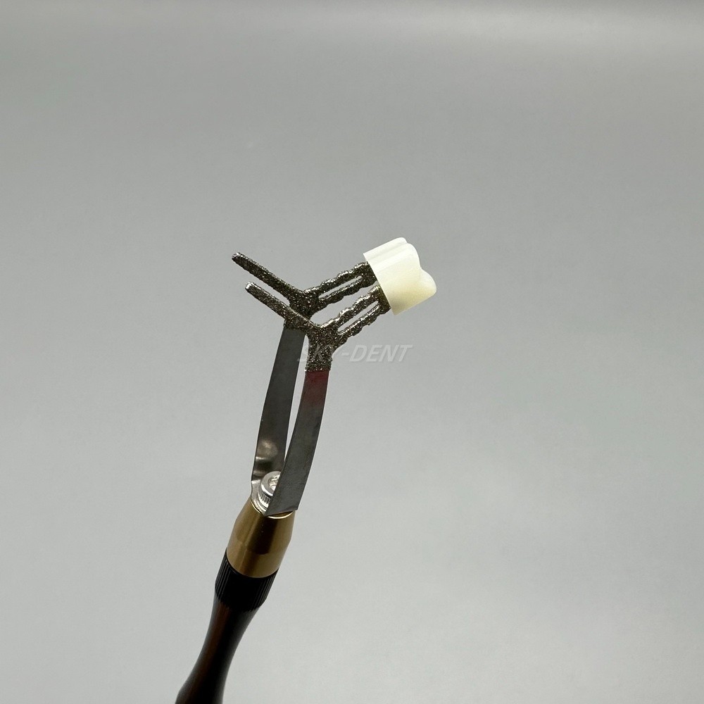 Zirconia Crown Holder Dental Posterior/Anterior Crown Bridge Placer Remover