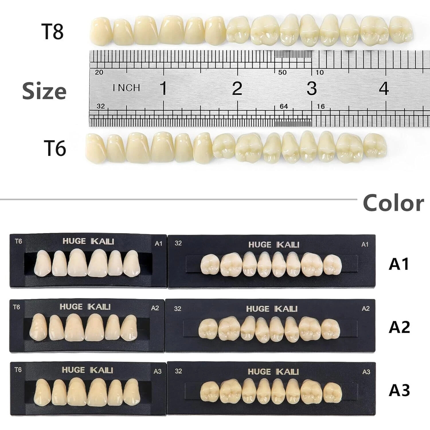 HUGE Dental Synthetic Polymer Teeth Resin False Teeth Denture Replacement 28/P