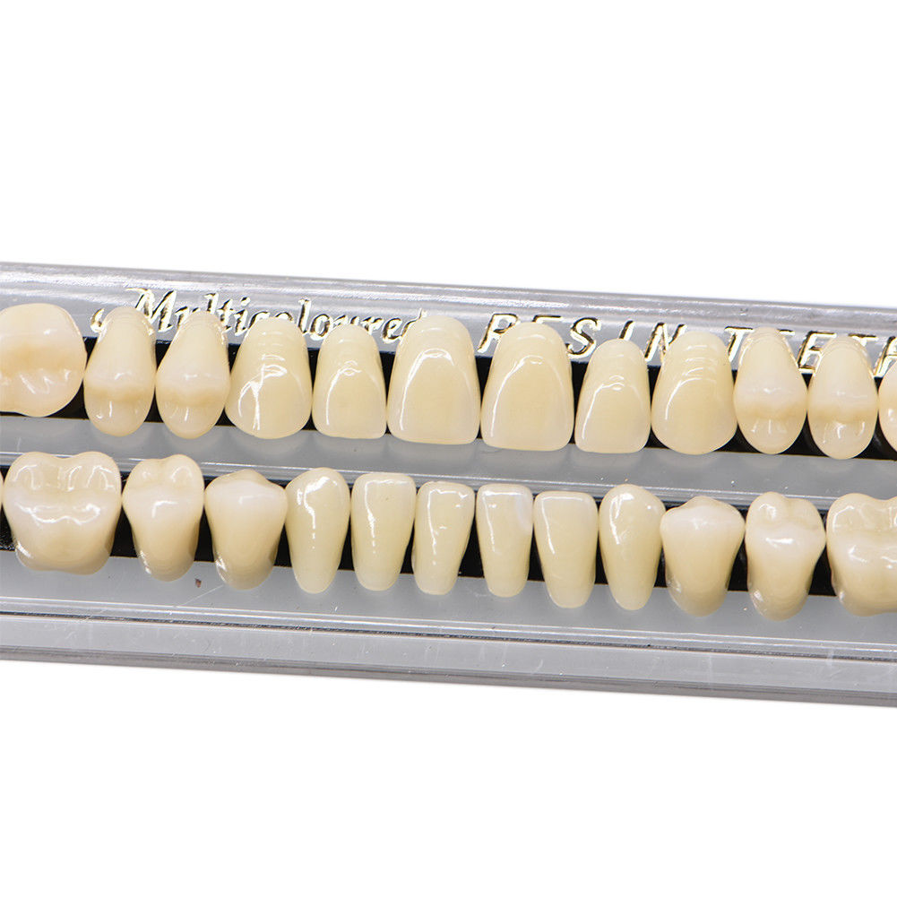 Dental Acrylic Resin Denture False Teeth Temporary A2 A3 Shade 22# 23# 28pcs/set