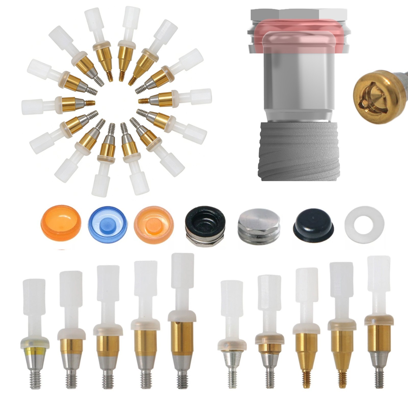 US Nobel Biocare Zest Locator Overdenture NOBEL Abutment NP & RP Retention Caps