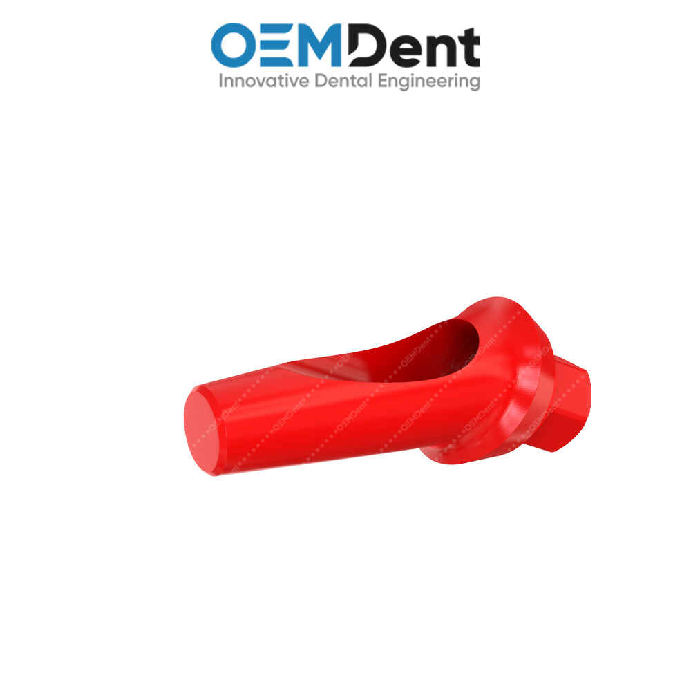 Angulated Anatomic Castable Prosthetic 25° – Paltop® Int Hex 2.42mm Compatible