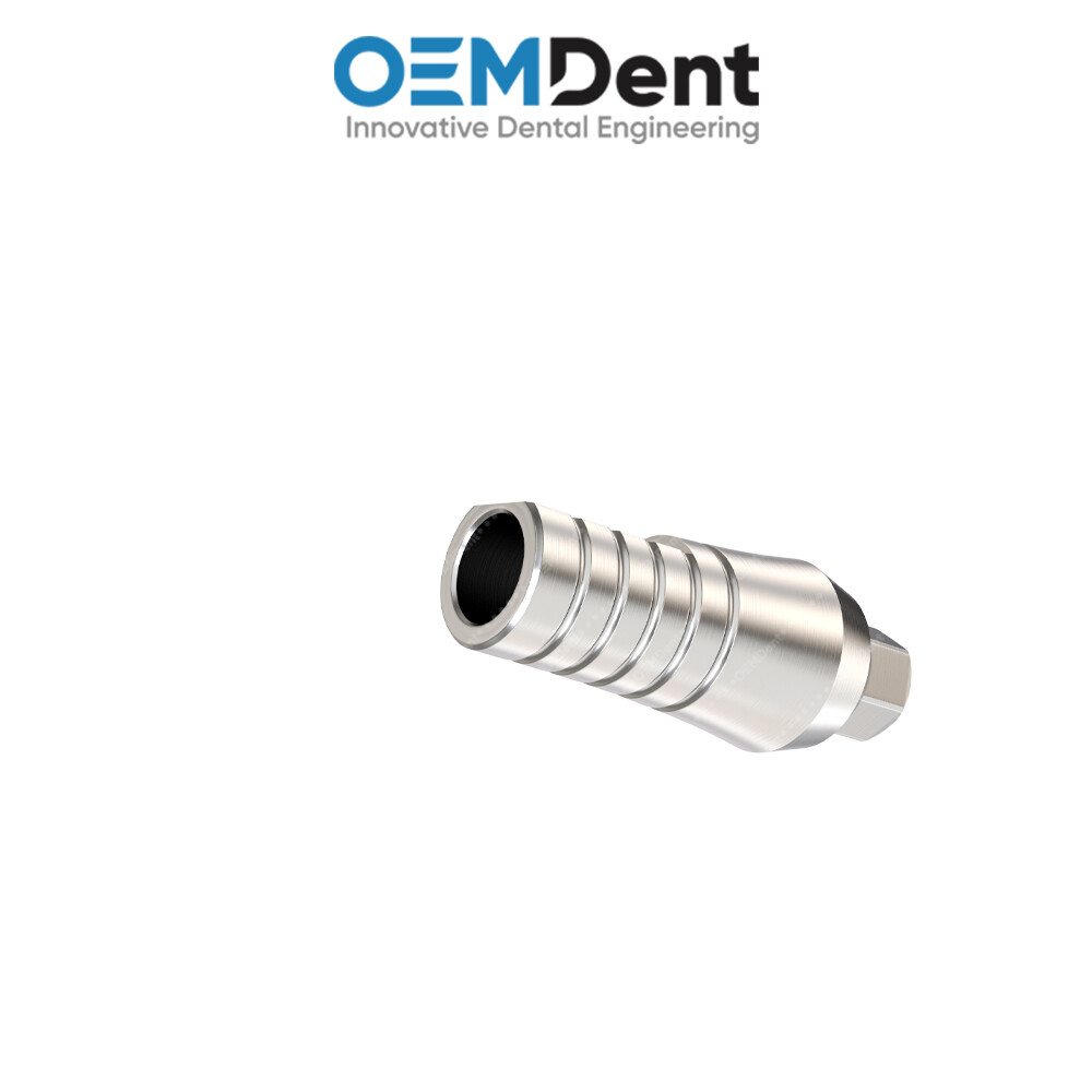 Straight Prosthetic Standard Platform – Paltop® Int Hex 2.42mm Compatible