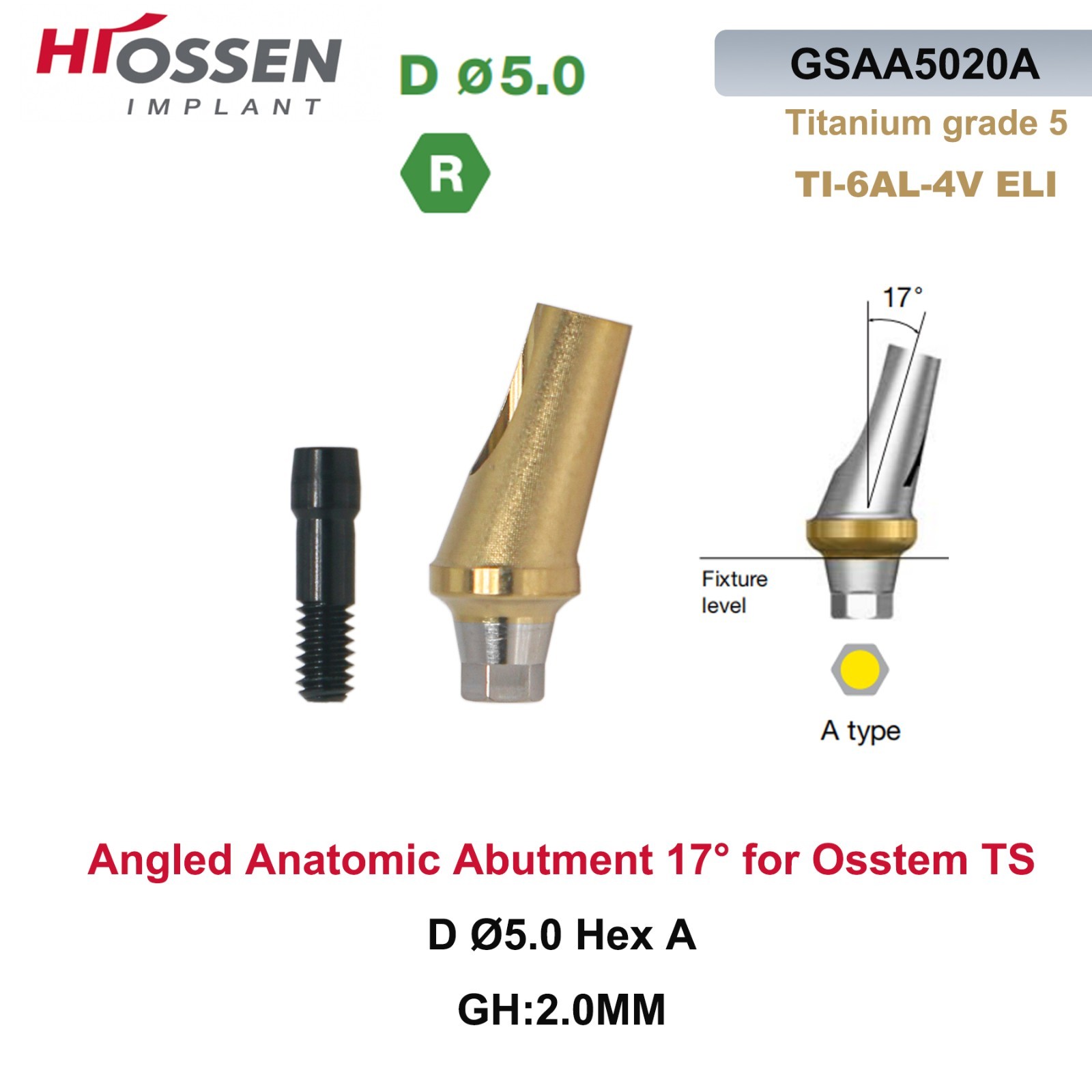 17° Angulated Anatomic Abutment Hex A/B for Osstem TS D5.0 Ti Regular Platform