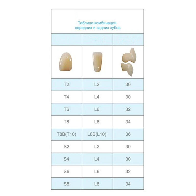 HUGE Dental Synthetic Polymer Teeth Resin False Teeth Denture Replacement 28/P