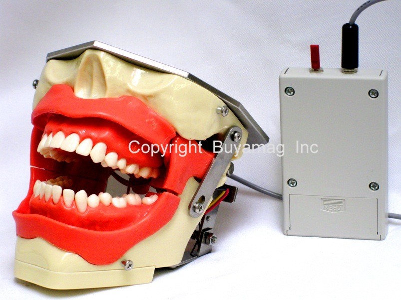 Dental X-Ray Mouth Close Mechanism For X-Ray Model