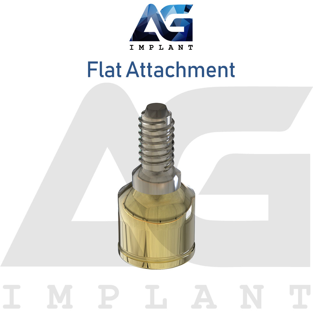20 Flat Attachment Titanium Overdenture Dental Int Hex Connection 2.42mm