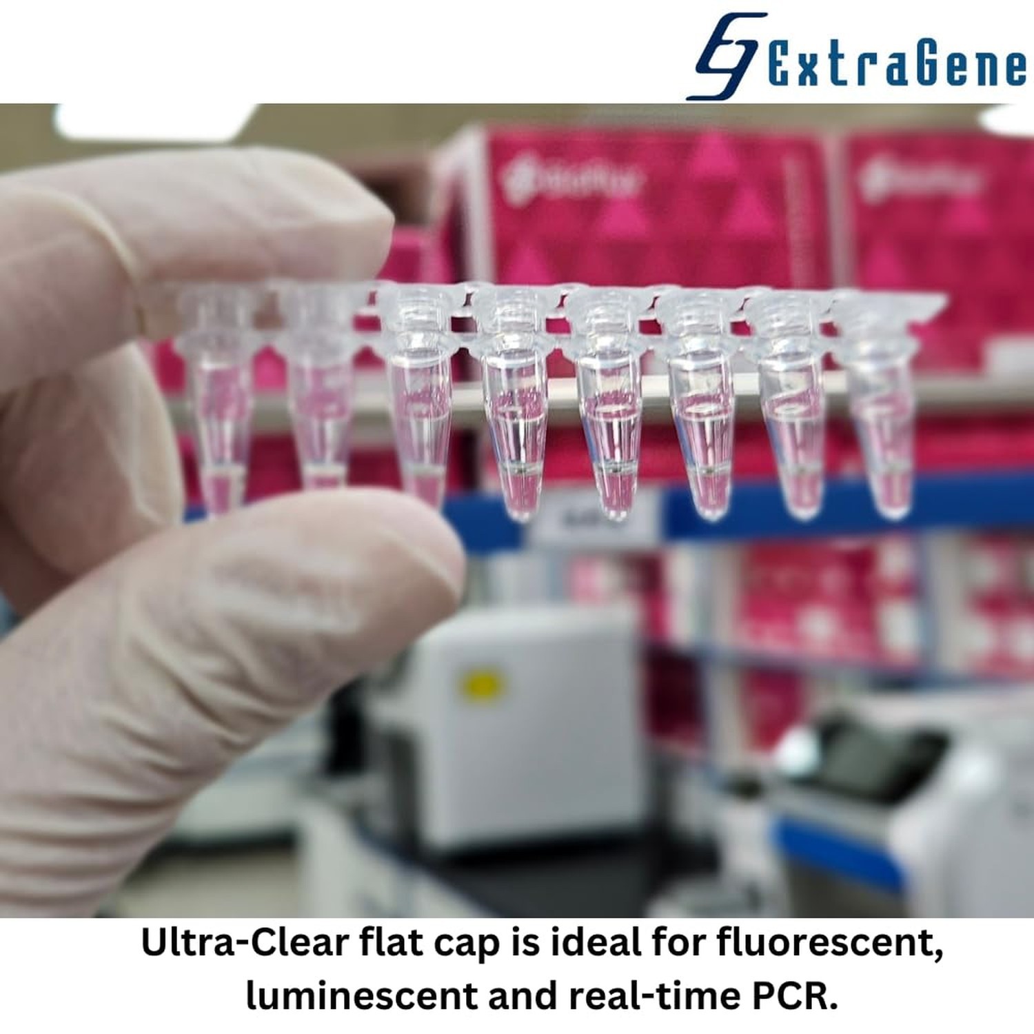 Extragene PCR Tube with 0.2ml Thin Wall, Strip of 8 Tubes, Snap Flat Caps DNa…