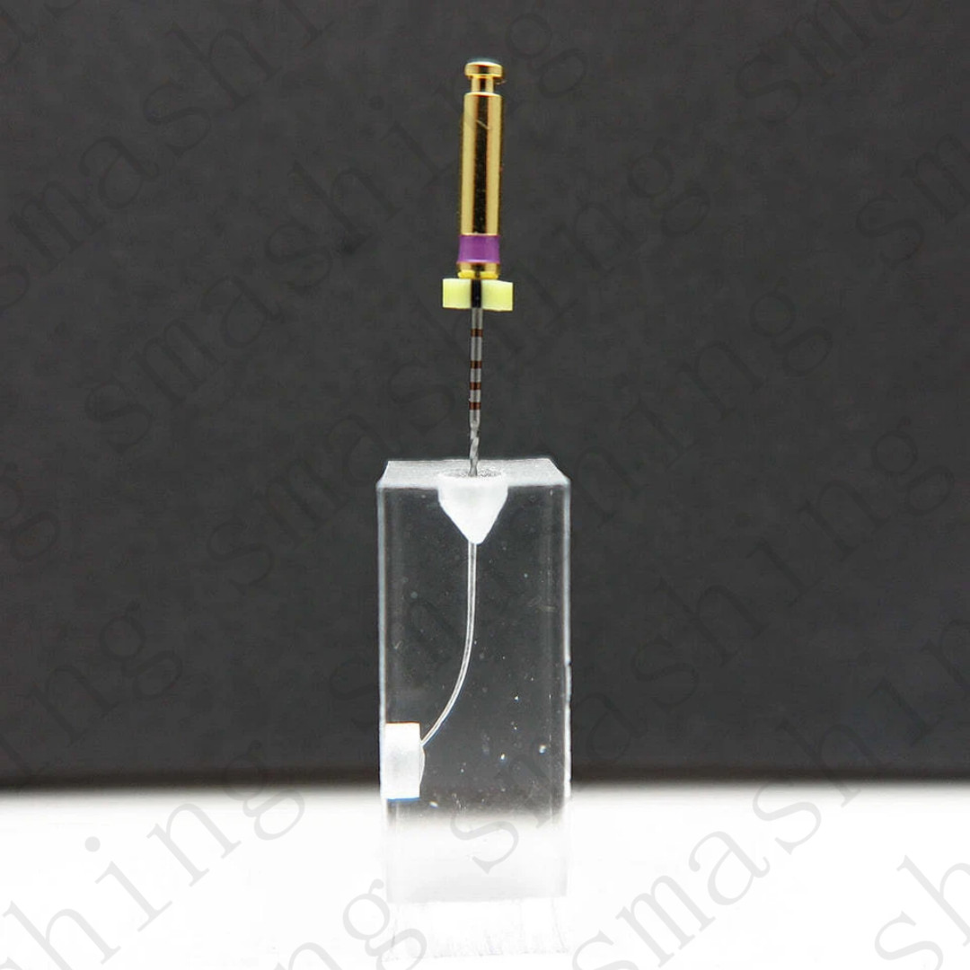10Pcs Dental Endo Root Canal Model Training Block Endodontic Student Teaching US