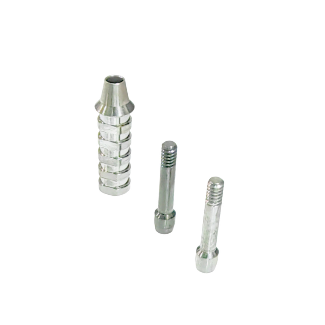 Dental Non-Hex ET Temporary Abutment Mini Regular Ti Screws EbonyGold Osstem 4.0