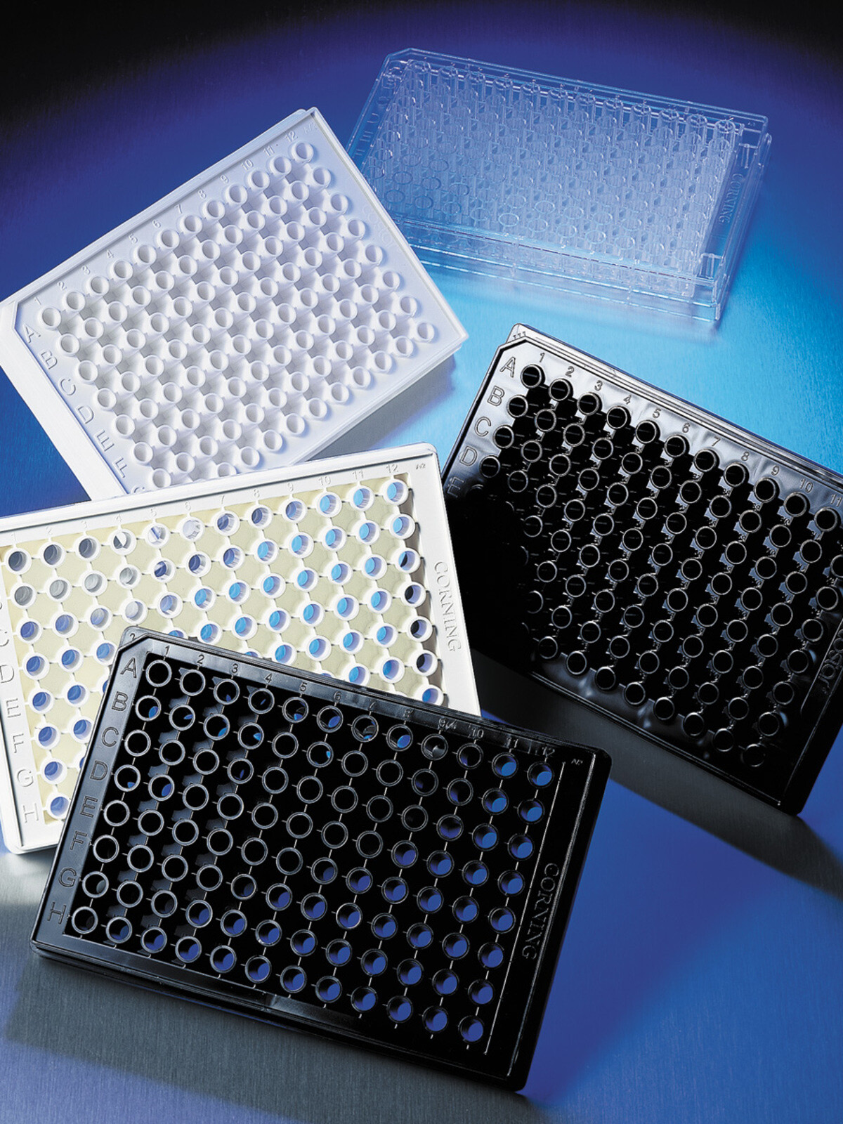 Corning 96-well assay plate v-bottom, without lid, Sterile – See Description