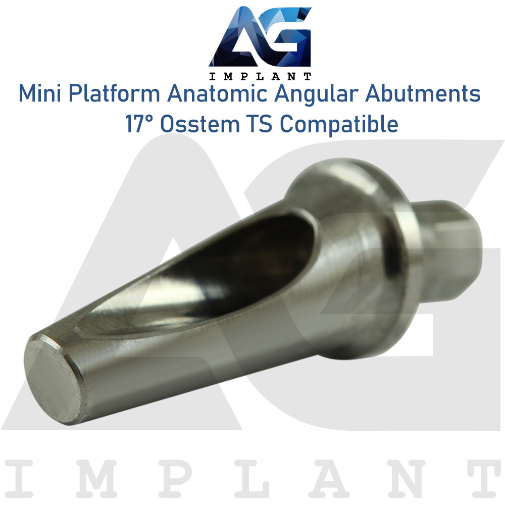 Dental Mini Platform Anat0mic Angled Prosthetic 17° 0sstem®TS Compatible