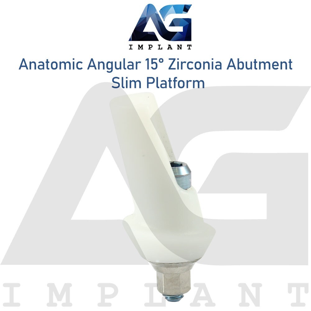 Zirconia Angular Anatomic Prosthetic Slim 15° Titanium Base Hexagon 2.0mm