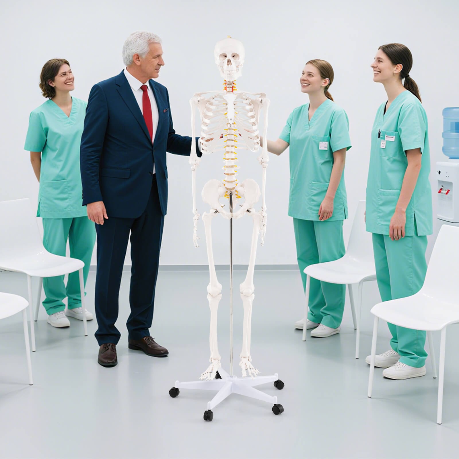 70.8″ Life-size Skeleton Model Medical School Human Anatomy W/Rolling Stand