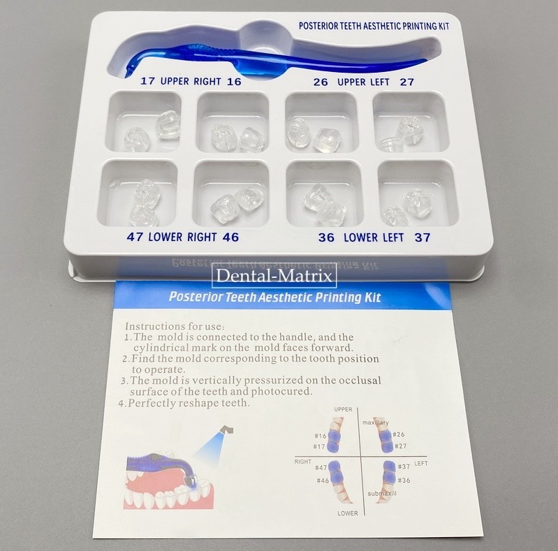 Dental Veneers Mould Composite Resin Anterior Posterior Teeth Molar Restoration