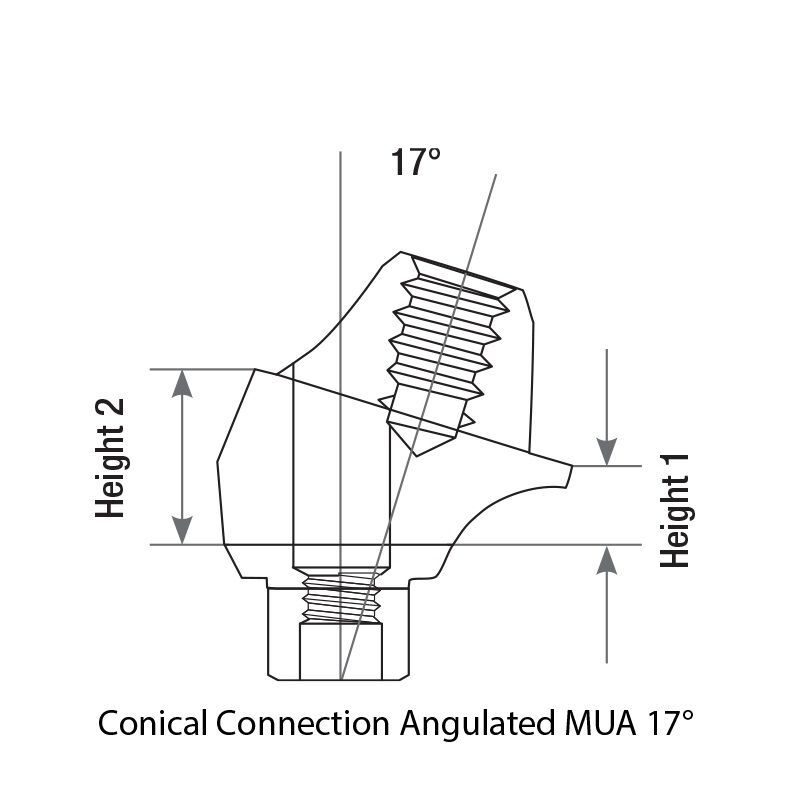 1x Dental Conical Angulated 17° Abutment Multi-Unit Premium 1.6m NP Ø3.5mm