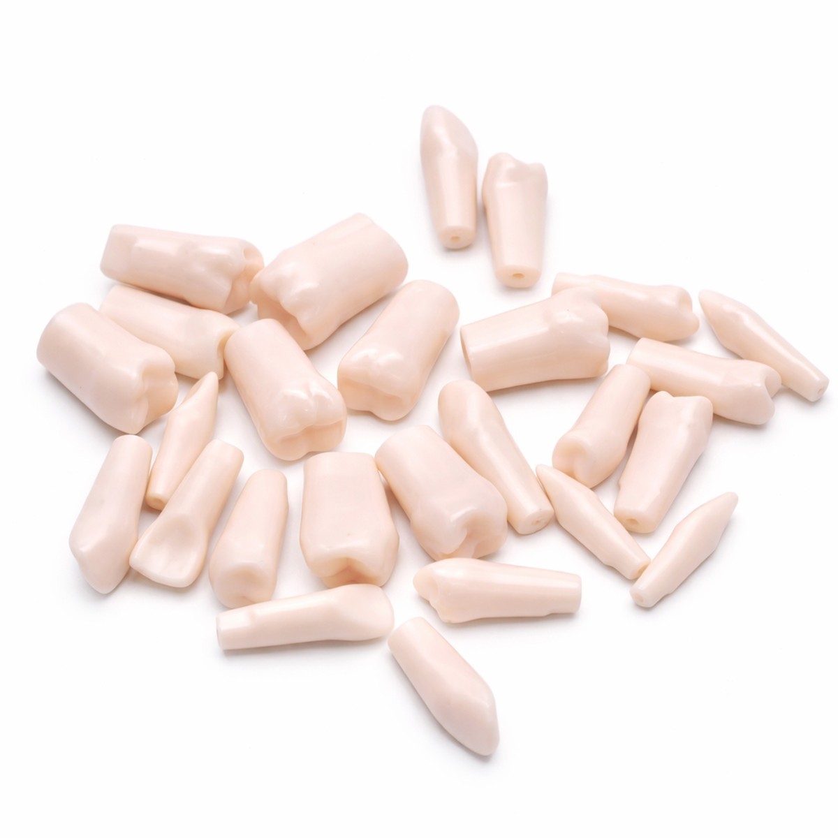 iDENTical Typodonts For Nissin Type Jaw Set TJMA09 – Individual