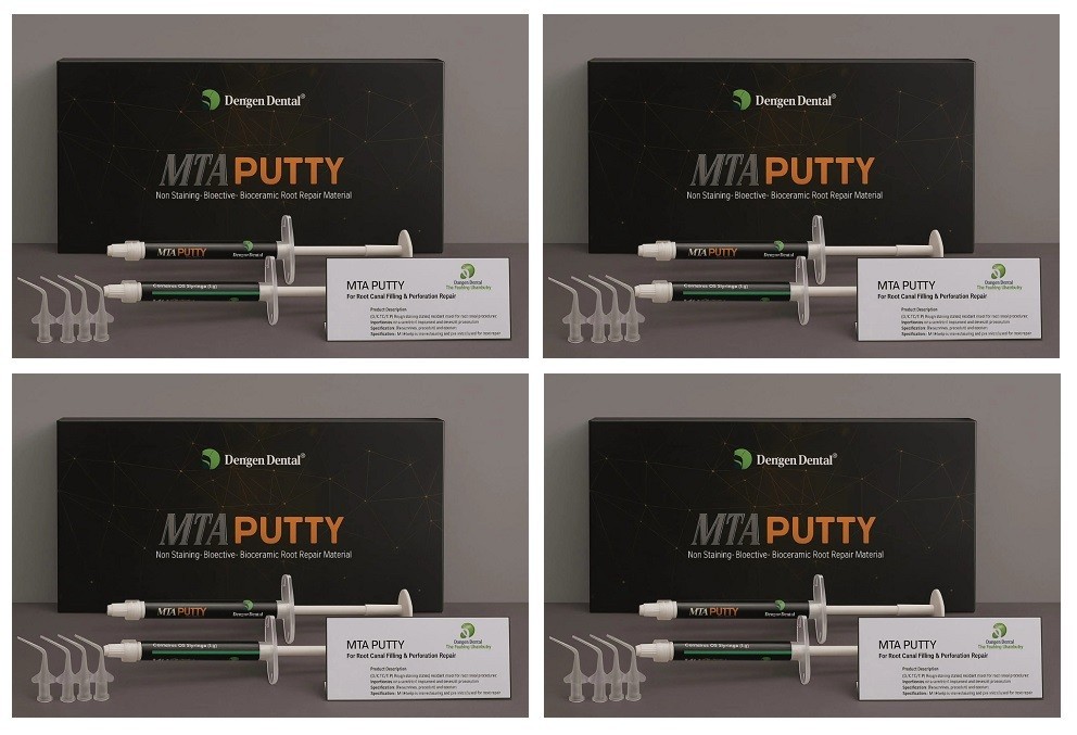 4 x Dental MTA PUTTY Pre Mix Bioactive , Bioceramic Root Repair Material 2 x 1g
