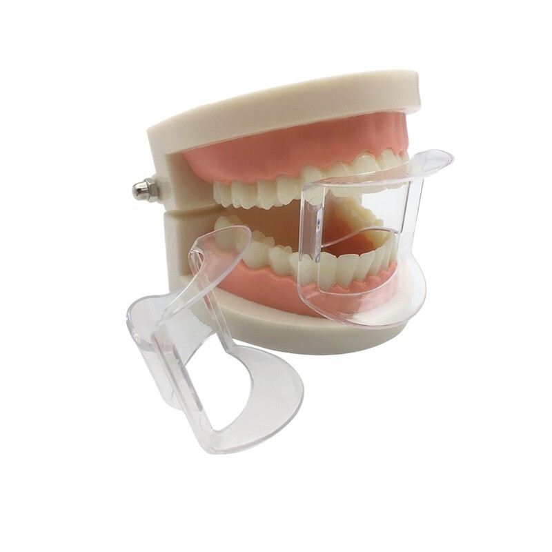 NEW 10 X Dental Mouth Gag Opener Teeth Props Retractor Cheek Expander