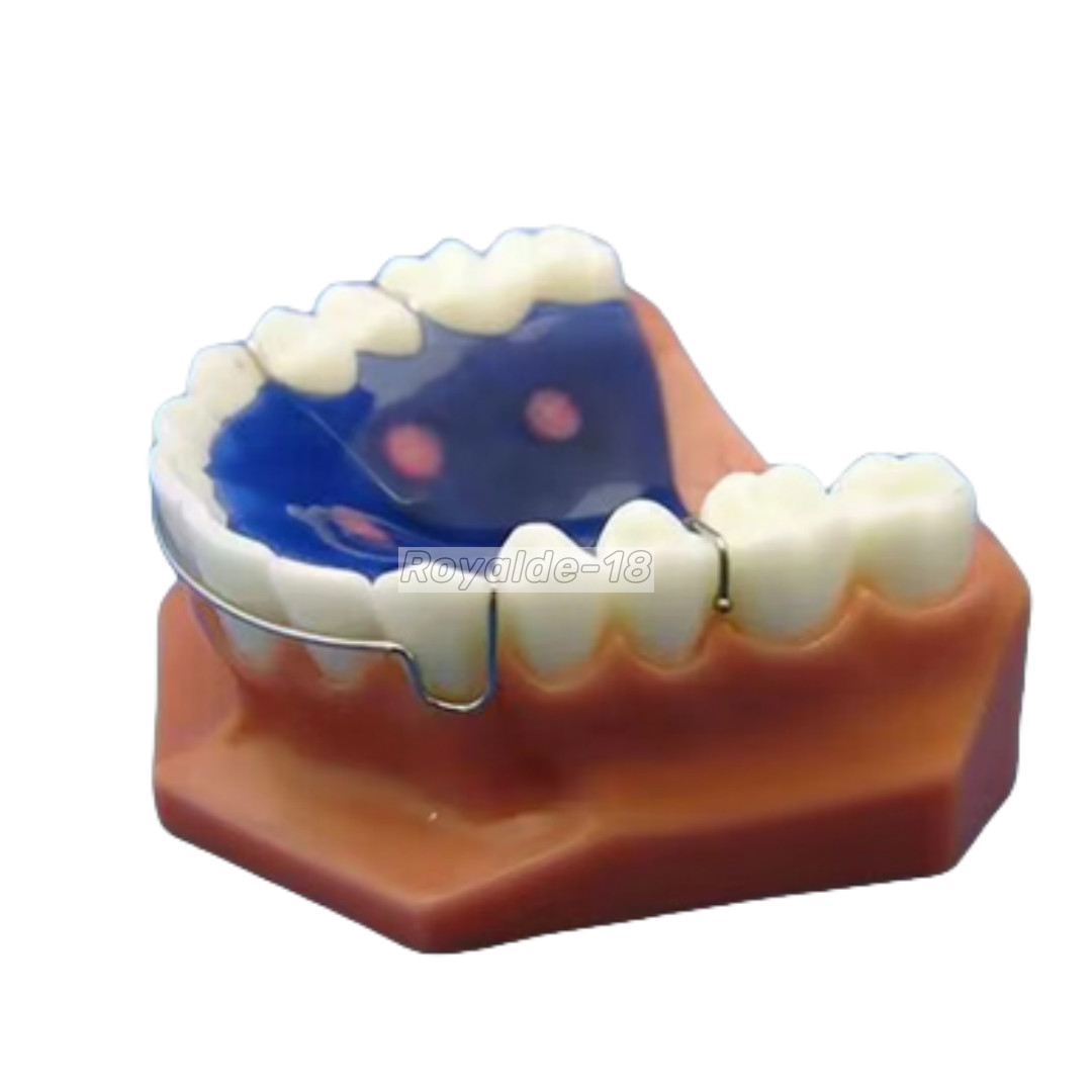 Dental Ortho Ball Retainer Clasps Tooth Hold Position Appliance Dentaurum
