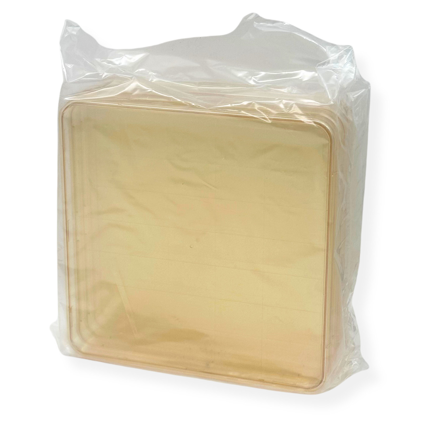 5pk Square BioAssay Dishes 241x20mm w/ Lids, Gridded, Clear | BD Falcon & NUNC