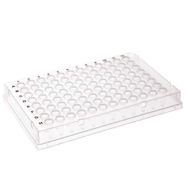 CELLTREAT 96 Well PCR Plate, Full Skirt, Clear, 0.1mL, Non-sterile, 229515