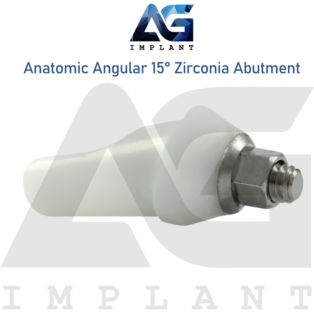 Zirconia Angular Anatomic Prosthetic System 15° Titanium Base Hexagon 2.42mm