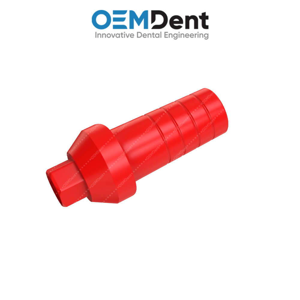 Straight Anatomic Fully Castable Prosthetic – Paltop® Int Hex 2.42mm Compatible