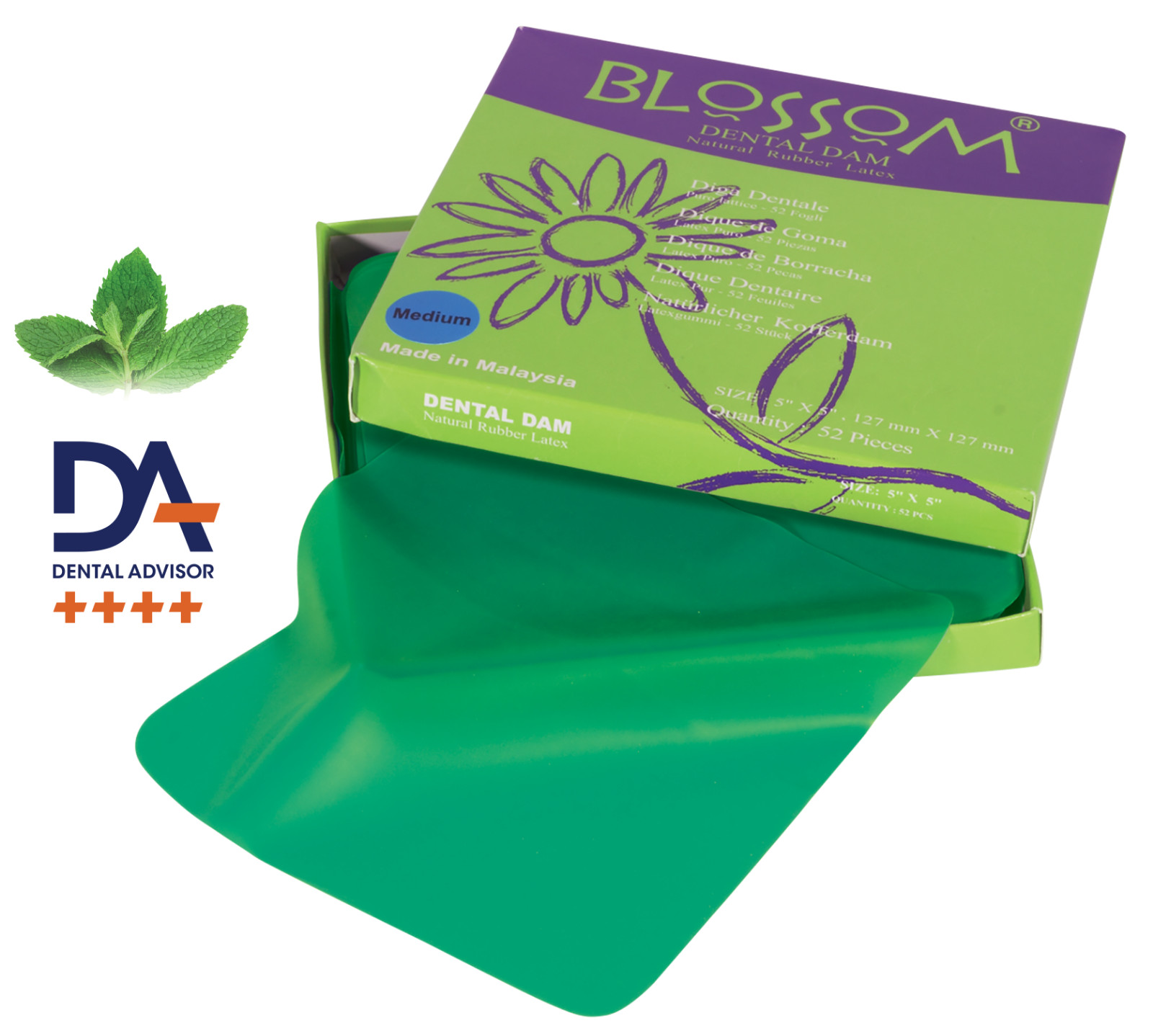 Latex Rubber Dental Dam, 5×5  & 6×6 Blue & Mint  Green Isolation Sheets (Choose)