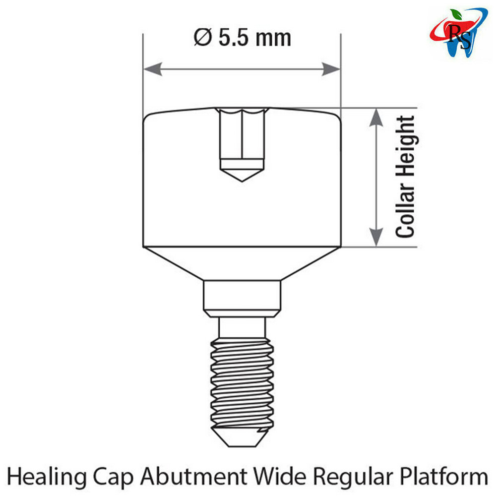 20pcs Dental Prosthetic Healing Cap Prosthetic RP Ø5.5 Int Hex 2.42 Titanium