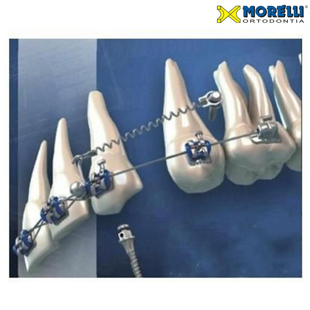 1pcs Dental Orthodontic Morelli Mini Screw Hexagonal Key Short & Long Instrument