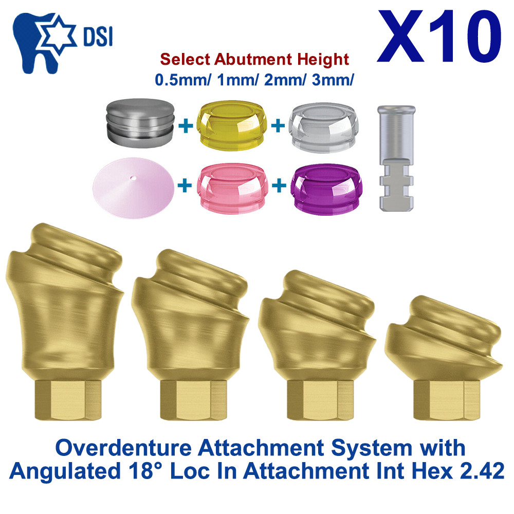 10 Prosthetic KIt Loc-In Angulated 18° Int Hex Attachment Abutment 4 Caps Analog