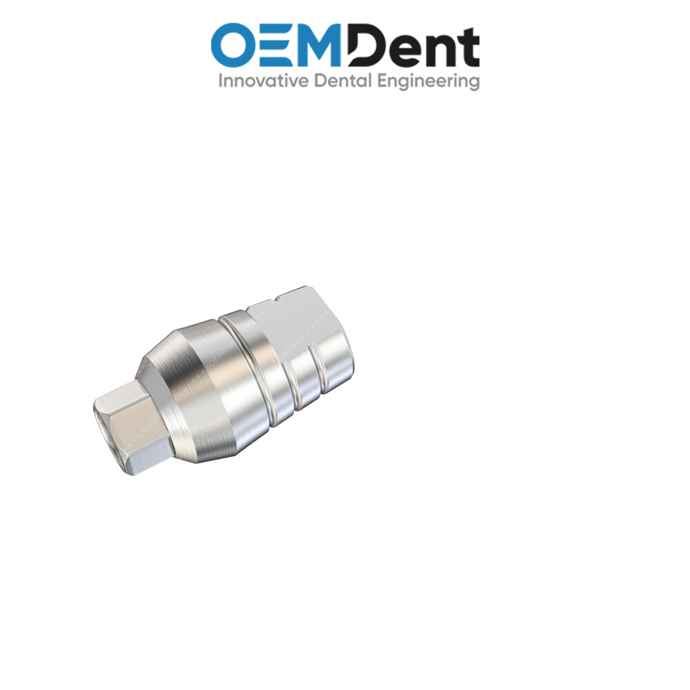 Straight Prosthetic Standard Platform – Paltop® Int Hex 2.42mm Compatible
