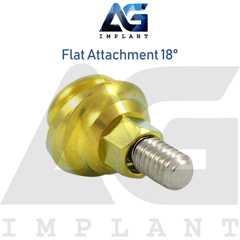 Angled 18° Flat Attachment Standard Silicone Set Titanium Int Hex 2.42mm