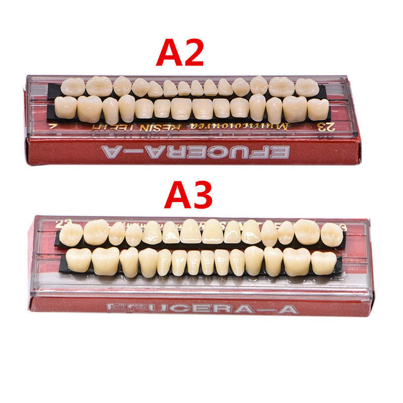 Dental Acrylic Resin Denture False Teeth Temporary A2 A3 Shade 22# 23# 28pcs/set