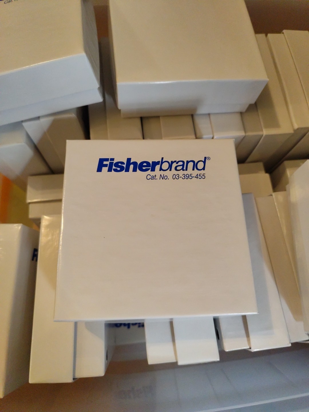 Fisherbrand Cryo/Freezer Box without dividers 03-395-455 One Each
