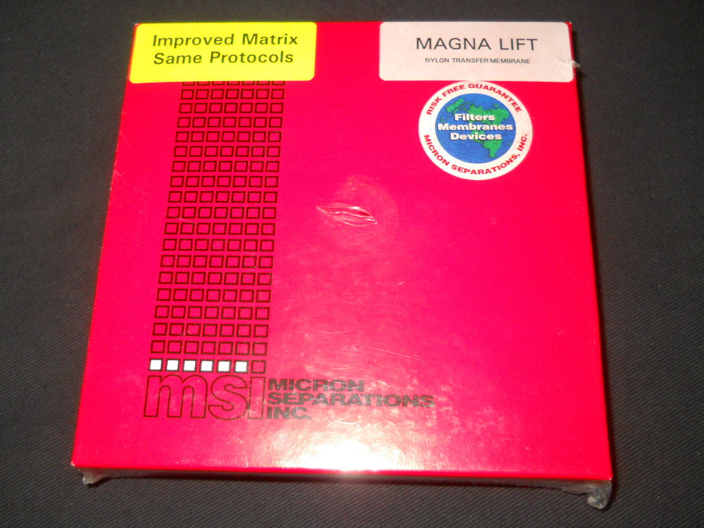 (50) MSI 137mm Magna Lift Nylon Transfer Membranes, 0.45μm, NL0HY13750